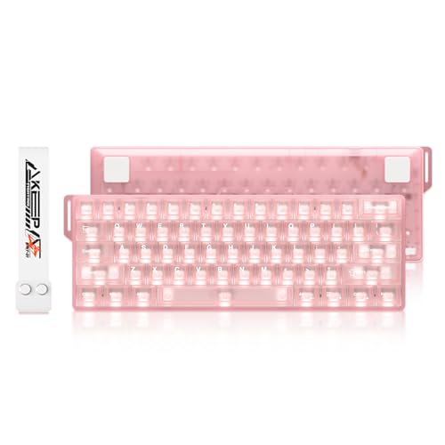 DAREU COOL60 半透明デザイン 0.01mm ラピッドトリガー対応 ゲーミングキーボード 有線8000hzポーリングレート 磁気スイッチ ホットスワップ SOCD対応 テンキーレス 60%英語配列 ピンク 可愛い 1年間メーカー保証