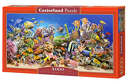 ジグソーパズル 海外製 アメリカ CASTORLAND 4000 Piece Jigsaw Puzzles, Underwater life, Sealife, Ocean, Adult Puzzles, Castorland C-400089-2ジグソーパズル 海外製 アメリカ｜angelica