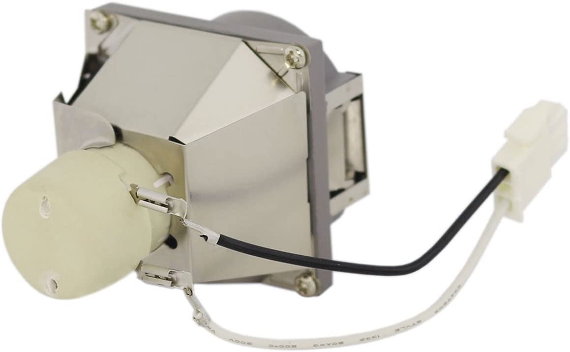 プロジェクターランプ ホームシアター テレビ 海外 輸入 【送料無料】Lytio Economy for BenQ 5J.J9R05.001 Projector Lamp with Housing 5J.J9R05001プロジェクターランプ ホームシアター テレビ 海外 輸入