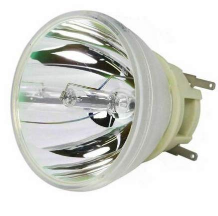 プロジェクターランプ ホームシアター テレビ 海外 輸入 CTLAMP Compatible RLC-065 / RLC065 Replacement Projector Lamp Bulb with housing Compatible with VIEWSONIC PJL6223 PJL6233 PJL6243プロジェクターランプ ホームシアター テレビ 海外 輸入