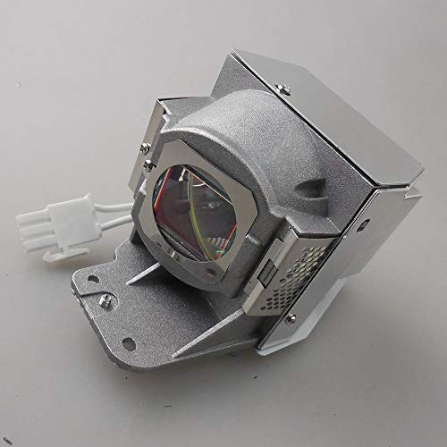 映写機照明ランプ 老人ホーム芝居小屋 テレビ受像機 外国で インポート CTLAMP RLC-079 / MC.JFZ11.001 Replacement Projector Lamp Bulb with Housing Compatible with VIEWSONIC PJD7820固定ディスク PJD7822HDL ACER H6510BD P1500映写機照明ランプ 老人ホーム芝居小屋 テレビ受像機 外国で インポート