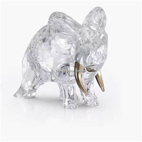 楽天市場】スワロフスキー 置物 飛行機 1667 オーナメント ゴールド