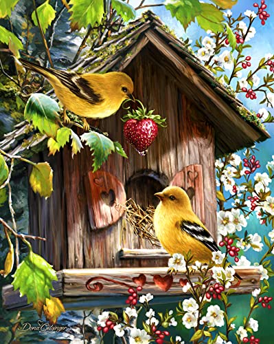 ジグソーパズル 海外製 アメリカ Springbok Home Tweet Home 500 Piece Jigsaw Puzzle for Adults - Birds and Bird House - Unique Cut Pieces - Made in USAジグソーパズル 海外製 アメリカ|angelica
