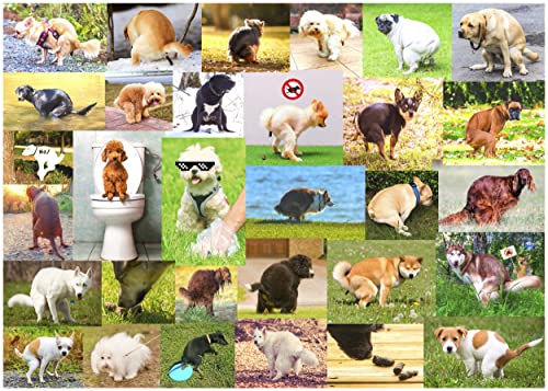 ジグソーパズル 海外製 アメリカ Pooping Dogs 1000-Piece Puzzle for Adults - Funny Pooping Puppy Gag Jigsaw Puzzle for Dog Lovers & Puppy Owners, Great Prank Gift (1000 Pieces)ジグソーパズル 海外製 アメリカ|angelica