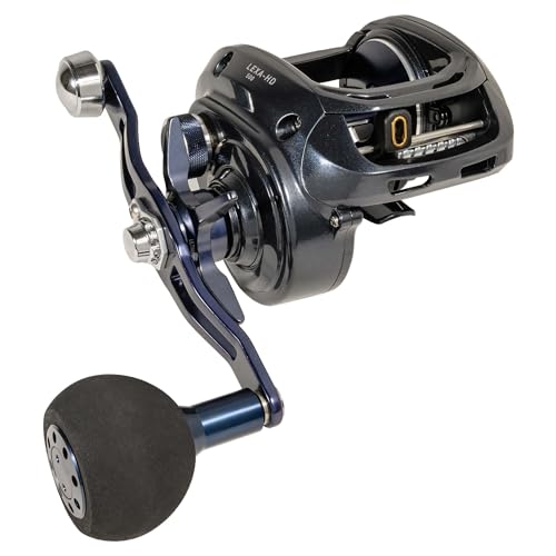雷魚　リョウガ　シュラプネル C3000H 右巻き　ライギョ　ダイワ　リール Amazon.co.jp: リョウガ シュラプネル C3000H 右巻き RYOGA