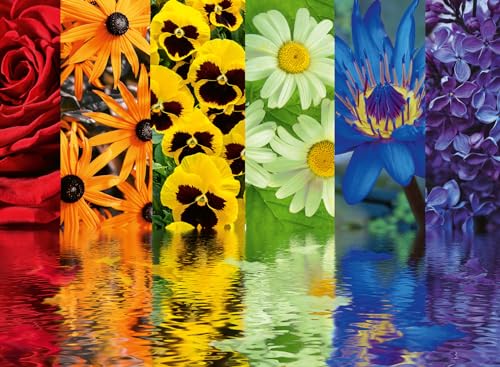 ジグソーパズル 海外製 アメリカ Ravensburger Floral Reflections 500 Piece Jigsaw Puzzle for Adults - 12000213 - Handcrafted Tooling, Made in Germany, Every Piece Fits Together Perfectlyジグソーパズル 海外製 アメリカ｜angelica