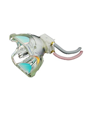 プロジェクターランプ ホームシアター テレビ 海外 輸入 23040044 AWO 23040044 Compatible Replacement Lamp Bulb for Eiki LC-WNB3000N/LC-XNB3500Nプロジェクターランプ ホームシアター テレビ 海外 輸入 23040044｜angelica