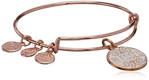 アレックスアンドアニ アメリカ アクセサリー ブランド かわいい Alex and Ani Blessed' Charm Bangleアレックスアンドアニ アメリカ アクセサリー ブランド かわいい|angelica