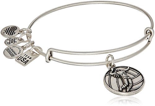 手数料安い アレックスアンドアニ アメリカ アクセサリー ブランド かわいい 送料無料 Alex And Ani Womens Usoc Volleyball Bangle Bracelet Rafaelian Silver Expandableアレックスアンドアニ アメリカ アクセサリー ブランド かわいい 期間限定特価 Www