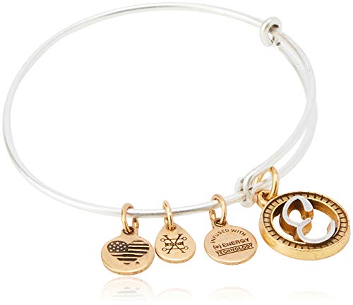 アレックスアンドアニ アメリカ アクセサリー ブランド かわいい Alex and ANI Women's Initial E II Bangle Two Tone Bracelet, Rafaelian Silverアレックスアンドアニ アメリカ アクセサリー ブランド かわいい|angelica