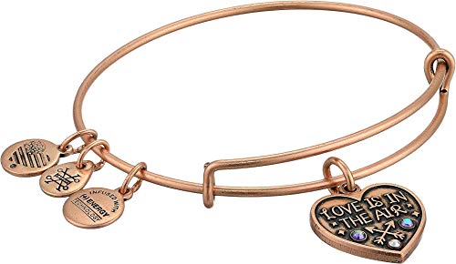 注目の アレックスアンドアニ アメリカ アクセサリー ブランド かわいい 送料無料 Alex And Ani Women S Love Is In The Air Charm Bangle Bracelet Rafaelian Antique Rose Expandableアレックスアンドアニ アメリカ アクセサリー ブランド かわいい 激安ブランド