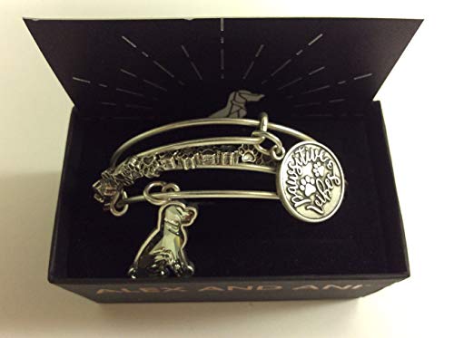 アレックスアンドアニ アメリカ アクセサリー ブランド かわいい Alex and Ani Women's Passwsitive Vibes Set of 3 Bracelet, Rafaelian Silver, Expandableアレックスアンドアニ アメリカ アクセサリー ブランド かわいい｜angelica