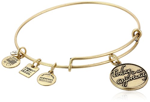アレックスアンドアニ アメリカ アクセサリー ブランド かわいい Alex and Ani Charity By Design Today Is An Opportunity Rafaelian Gold Bangle Braceletアレックスアンドアニ アメリカ アクセサリー ブランド かわいい|angelica