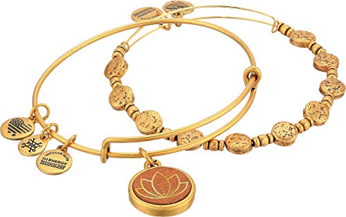 日本全国送料無料 アレックスアンドアニ アメリカ アクセサリー ブランド かわいい 送料無料 Alex And Ani Lotus Wood Charm Two Tone Bracelet Set Of 2 Rafaliean Gold One Sizeアレックスアンドアニ アメリカ アクセサリー ブランド かわいい 売れ筋 Www
