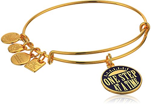 全国宅配無料 アレックスアンドアニ アメリカ アクセサリー ブランド かわいい Alex And Ani One Step Charm Bangle Expandableアレックスアンドアニ アメリカ アクセサリー ブランド かわいい 超激安 Www Estelarcr Com