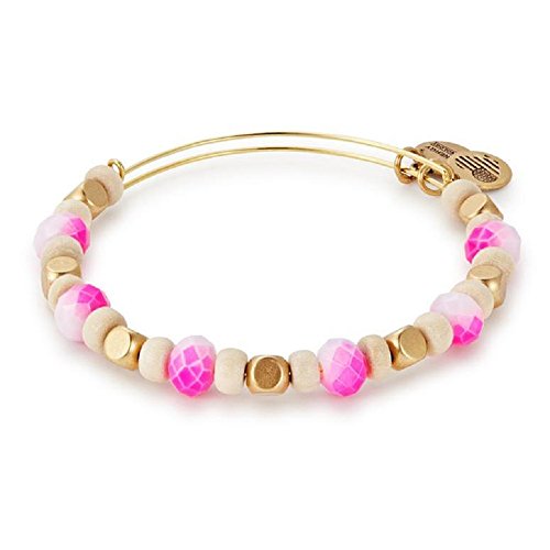 絶対一番安い アレックスアンドアニ アメリカ アクセサリー ブランド かわいい Alex And Ani Dragonfruit Sorbet Bangle Rafaelian Gold Finishアレックスアンドアニ アメリカ アクセサリー ブランド かわいい 超歓迎 Andhes Org Ar