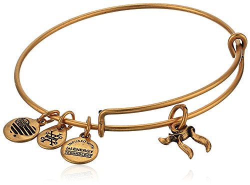 アレックスアンドアニ アメリカ アクセサリー ブランド かわいい Alex and Ani Chai Charm Bangle, Rafaelian Gold, Expandableアレックスアンドアニ アメリカ アクセサリー ブランド かわいい｜angelica