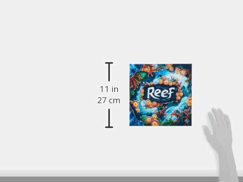 盤戦い 英語 海外ゲーム 送料無料 Reefボードゲーム 英語 アメリカ 海外ゲーム Marchesoni Com Br