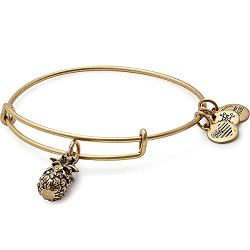 アレックスアンドアニ アメリカ アクセサリー ブランド かわいい Alex and Ani Path of Symbols Expandable Bangle for Women, Pineapple Charm, Rafaelian Gold Finish, 2 to 3.5 in (A17EB26RG)アレックスアンドアニ アメリカ アクセサリー ブランド かわいい｜angelica