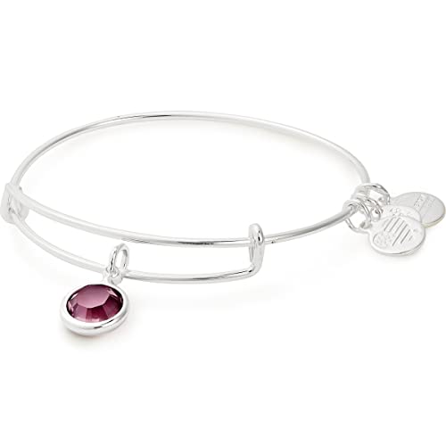アレックスアンドアニ アメリカ アクセサリー ブランド かわいい Alex and ANI Birthstones Expandable Bangle for Women, Amethyst Crystal Charm for February, Shiny Silver Finish, 2 to 3.5 inアレックスアンドアニ アメリカ アクセサリー ブランド かわいい｜angelica