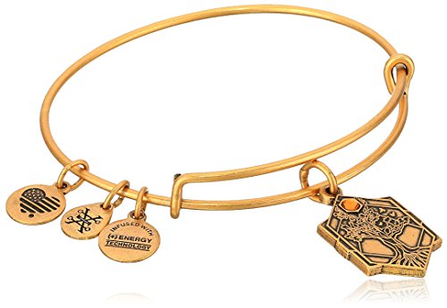 保証書付 アレックスアンドアニ アメリカ アクセサリー ブランド かわいい 送料無料 Alex And Ani Tree Of Life Iv Rafaelian Gold Bangle Braceletアレックスアンドアニ アメリカ アクセサリー ブランド かわいい 絶対一番安い Sigper Personeriacartagena Gov Co