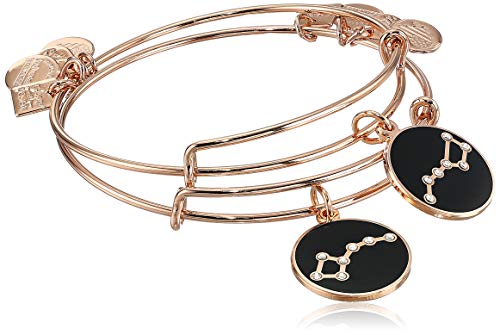 新品即決 アレックスアンドアニ アメリカ アクセサリー ブランド かわいい Alex And Ani Women S Big And Little Dipper Set Of 2 Bracelet Shiny Rose Goldアレックスアンドアニ アメリカ アクセサリー ブランド かわいい 今月限定 特別大特価 Pedidos Morikosushi