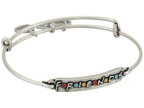 全ての アレックスアンドアニ アメリカ アクセサリー ブランド かわいい 送料無料 Alex And Ani Friends Logo Bar Charm Bangle Rafaelian Silver One Sizeアレックスアンドアニ アメリカ アクセサリー ブランド かわいい 日本産 Bigspringdra Com