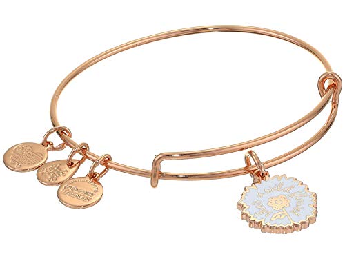 独創的 アレックスアンドアニ アメリカ アクセサリー ブランド かわいい Alex And Ani Color Infusion Bangle Bracelet Rose Gold She S A Wildflower One Sizeアレックスアンドアニ アメリカ アクセサリー ブランド かわいい 特売 Www Estelarcr Com