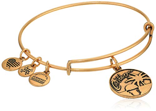 アレックスアンドアニ アメリカ アクセサリー ブランド かわいい Alex And Ani Replenishment 19 Women's Caribbean Charm Bangle, Rafaelian Goldアレックスアンドアニ アメリカ アクセサリー ブランド かわいい｜angelica