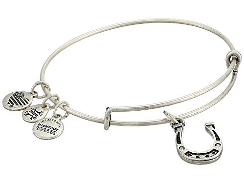 最安値 アレックスアンドアニ アメリカ アクセサリー ブランド かわいい 送料無料 Alex And Ani Horseshoe Bangle Bracelet Rafaelian Silver One Sizeアレックスアンドアニ アメリカ アクセサリー ブランド かわいい 数量は多 Blog Jotajota Net Br