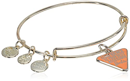 新発売の アレックスアンドアニ アメリカ アクセサリー ブランド かわいい Alex And Ani Barbie Charm Bangle Bracelet Confidence Is Your Best Accessory One Size Shiny Silverアレックスアンドアニ アメリカ アクセサリー ブランド かわいい 史上最も激安 Outmore Pt