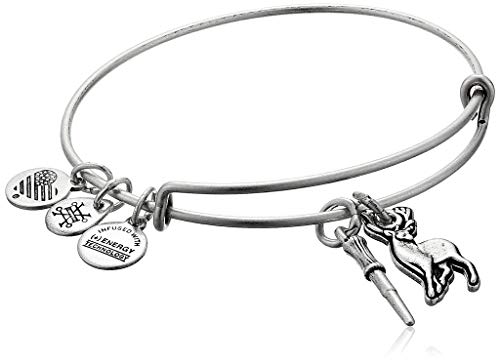 宅送 楽天市場 アレックスアンドアニ アメリカ アクセサリー ブランド かわいい 送料無料 Alex And Ani Replenishment 19 Women S Harry Potter Wand Patrons Duo Charm Bangle Rafaelian Silver Expandablアレックスアンドアニ アメリカ アクセサリー