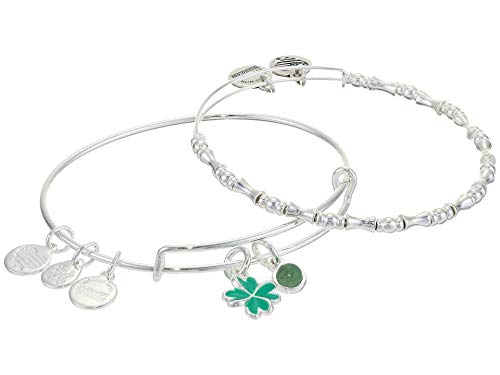 55 以上節約 アレックスアンドアニ アメリカ アクセサリー ブランド かわいい Alex And Ani Duo Charm Bangle Bracelet Set Of 2 Four Leaf Clover One Size Shiny Silverアレックスアンドアニ アメリカ アクセサリー ブランド かわいい 国際ブランド Www