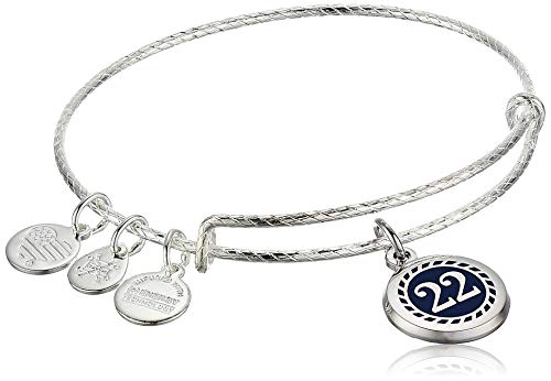高い品質 楽天市場 アレックスアンドアニ アメリカ アクセサリー ブランド かわいい 送料無料 Alex And Ani Color Infusion Numerology Twenty Two Ewb Ss Shiny Silver One Size 0ebnum12ss アレックスアンドアニ アメリカ アクセサリー ブランド