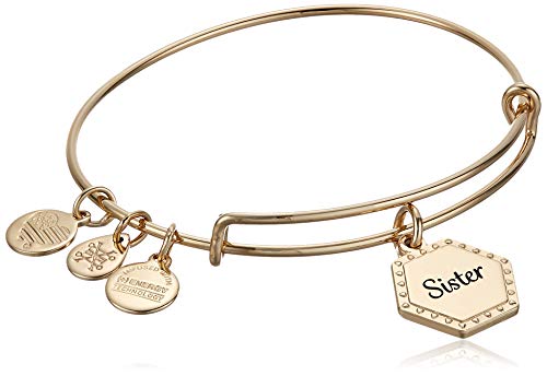 アレックスアンドアニ アメリカ アクセサリー ブランド かわいい Alex and Ani Sister Braceletsアレックスアンドアニ アメリカ アクセサリー ブランド かわいい｜angelica 10,692円