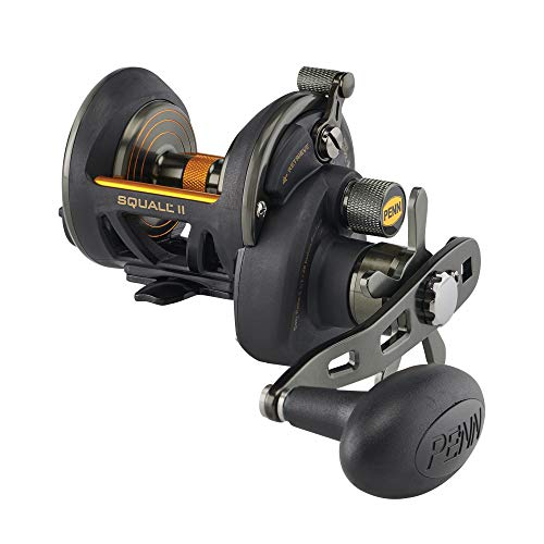 爆売り リール ペン Penn 釣り道具 フィッシング 送料無料 Penn Fishing Squall Ii Star Drag Conventional Fishing Reel Black Gold Sqlii15sd Sqlii15sd リール ペン Penn 釣り道具 フィッシング 格安人気 Lexusoman Com