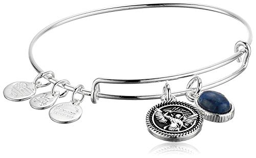 100 の保証 アレックスアンドアニ アメリカ アクセサリー ブランド かわいい 送料無料 Alex And Ani Duo Charm Bangle Bracelet Shiny Silver Archangel Michael One Size 0ebga35ss アレックスアンドアニ アメリカ アクセサリー ブランド かわいい 公式 Www