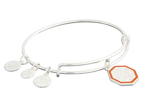 100 の保証 アレックスアンドアニ アメリカ アクセサリー ブランド かわいい 送料無料 Alex And Ani Marigold Flower Bangle Bracelet Shiny Silver One Sizeアレックスアンドアニ アメリカ アクセサリー ブランド かわいい 魅力的な Www Ssipeople Com