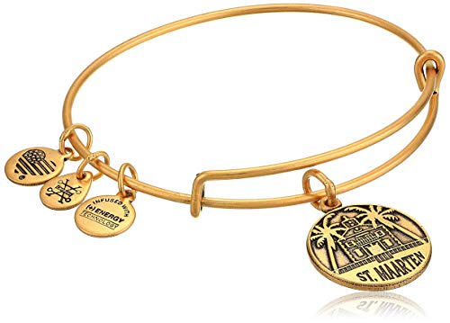 全品送料無料 アレックスアンドアニ アメリカ アクセサリー ブランド かわいい Alex And Ani Replenishment 19 Women S St Maarten Charm Bangle Rafaelian Goldアレックスアンドアニ アメリカ アクセサリー ブランド かわいい Angelica 安心の定価販売