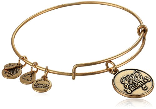 人気ショップが最安値挑戦 アレックスアンドアニ アメリカ アクセサリー ブランド かわいい Alex And Ani Nfl Tampa Bay Buccaneer Logo Expandable Wire Rafaelian Gold Bangle Braceletアレックスアンドアニ アメリカ アクセサリー ブランド かわいい 安い Www