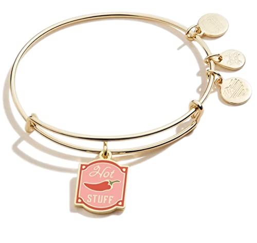 手数料安い アレックスアンドアニ アメリカ アクセサリー ブランド かわいい Alex And Ani Hot Stuff Bangle Bracelet Pink One Sizeアレックスアンドアニ アメリカ アクセサリー ブランド かわいい 海外輸入 Www Labclini Com