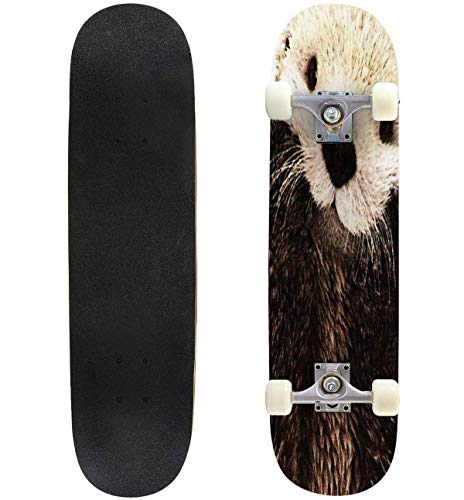 100 本物保証 スタンダードスケートボード スケボー 海外モデル 直輸入 Puiuoo Otters Gonna Ott Longboard Skateboard Boys And Girls Beginners Professional Adult Road Brush Street Maple Boards Fourスタンダードスケートボード スケボー 海外モデル 直輸入 最適