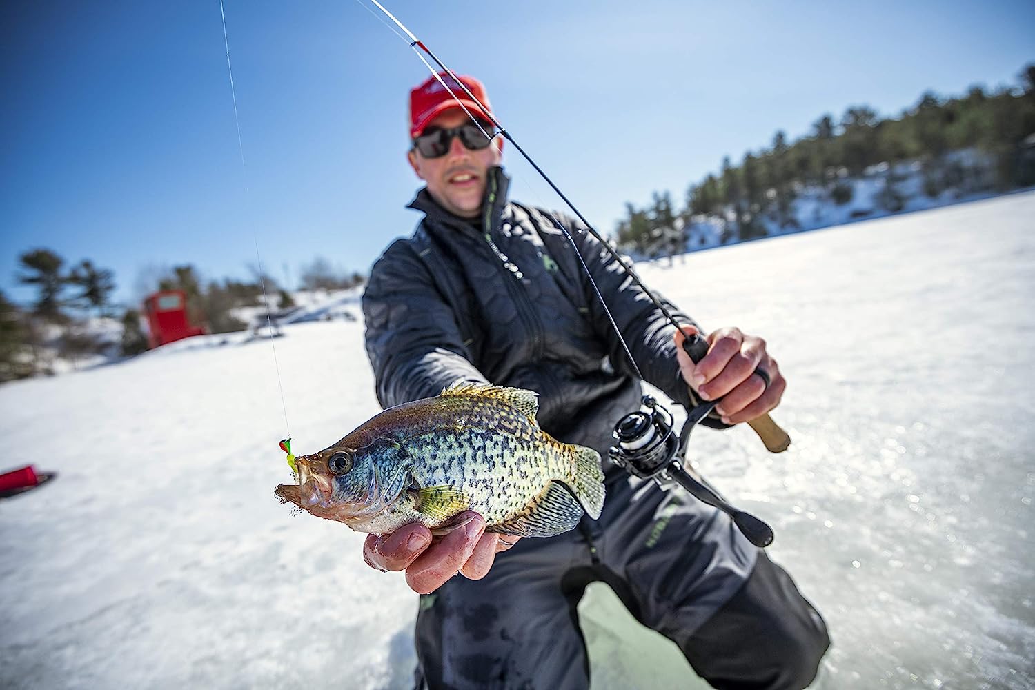 リール シェイクスピア Shakespeare 釣り道具 フィッシング 【送料無料】Shakespeare Glacier Drop Ice Fishing Reelリール シェイクスピア Shakespeare 釣り道具 フィッシング