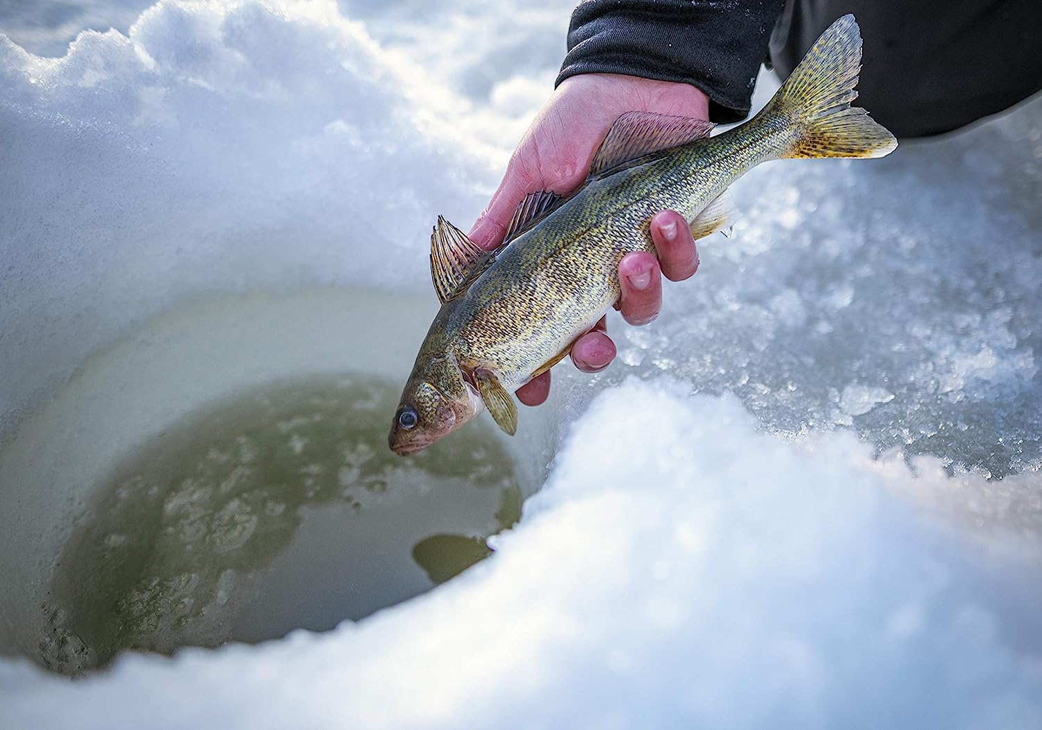 リール シェイクスピア Shakespeare 釣り道具 フィッシング 【送料無料】Shakespeare Glacier Drop Ice Fishing Reelリール シェイクスピア Shakespeare 釣り道具 フィッシング