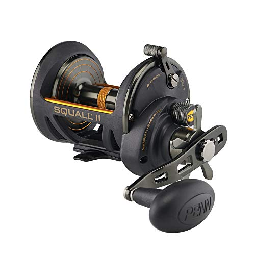 驚きの値段 リール ペン Penn 釣り道具 フィッシング 送料無料 Penn Fishing Penn Squall Ii Star Drag Conventional Fishing Reel Black Gold Sqlii25nsdlh リール ペン Penn 釣り道具 フィッシング 超激安 Www Lexusoman Com