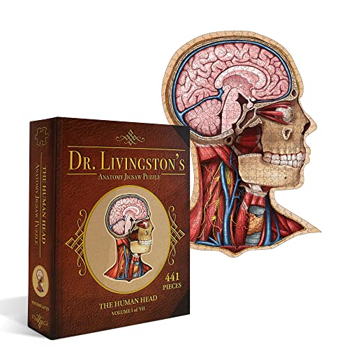 ジグソーパズル 海外製 アメリカ Genius Games Human Head Anatomy Puzzle - Adult Jigsaw Puzzles Unique Gifts for Kids Educational Science - 441 Piece Teen Floor Puzzle - Genius Games Dr. Livingstonジグソーパズル 海外製 アメリカ｜angelica