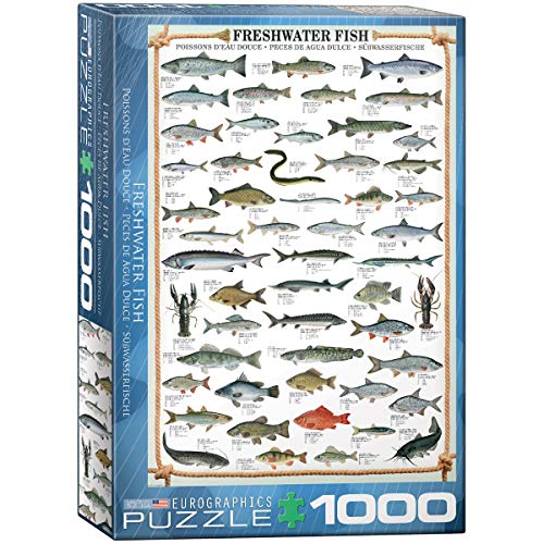 ジグソーパズル 海外製 アメリカ EuroGraphics Freshwater Fish 1000-Piece Puzzleジグソーパズル 海外製 アメリカ|angelica