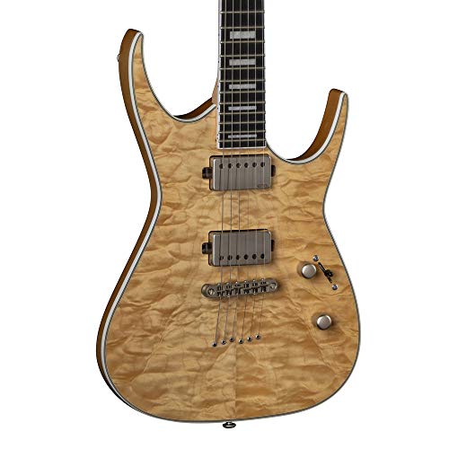 楽天市場】Dean Michael Schenker Signature Retro 新品[ディーン