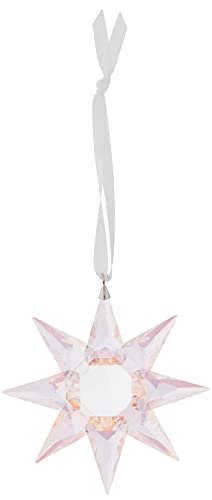 楽天市場】スワロフスキー 2010年 SCS会員限定 アースウィンドウ