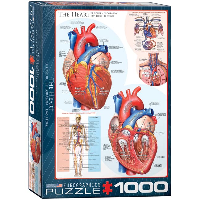 ジグソーパズル 海外製 アメリカ EuroGraphics Human Body (The Heart) Puzzle (1000-Piece) , Blueジグソーパズル 海外製 アメリカ｜angelica